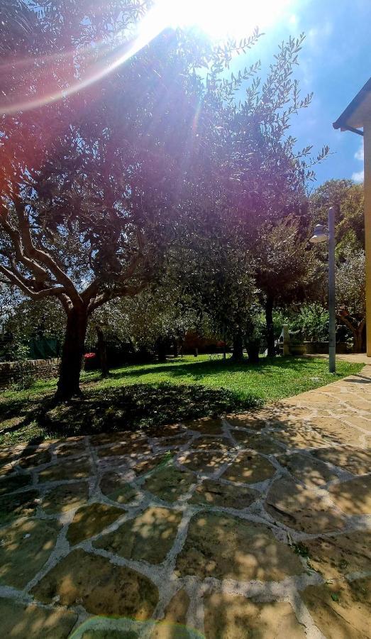 Fontecorona Bed And Breakfast Serra San Quirico Exterior photo